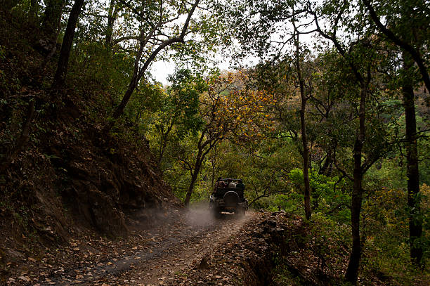 Safari in Jim Corbett National Park